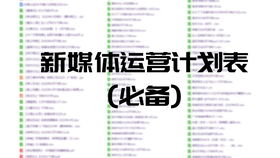 品牌營(yíng)銷市場(chǎng)策劃推廣宣傳執(zhí)行流程工作計(jì)劃方案模板